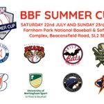 Image result for Norwich Iceni Baseball Club