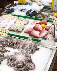 Image result for Octopushy (Croydon Area)