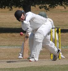 Image result for Louth Cricket Club
