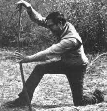 Image result for Old Dean Outdoor