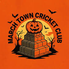 Image result for March Town Cricket Club