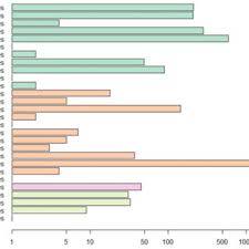 Attēlu rezultāti vaicājumam “Diaperis boleti nest”