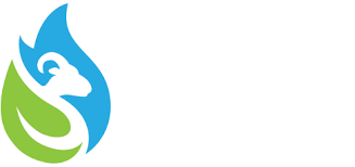 Image result for fsi tehron