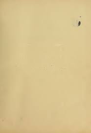 Attēlu rezultāti vaicājumam “Epirranthis diversata upperside”