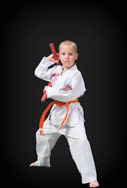 Image result for ATA Martial Arts Mobile
