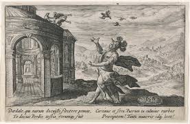 Attēlu rezultāti vaicājumam “Perdix perdix”