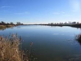 Image result for Orpington District Angling Association