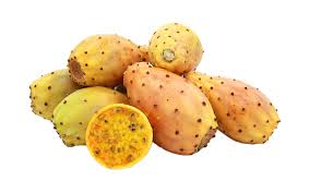 Attēlu rezultāti vaicājumam “Carex dioica fruit”