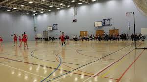 Image result for Ipswich Ladies Netball Club