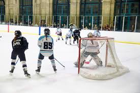Image result for Haringey Greyhounds Ice Hockey Club