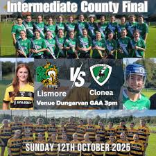 Image result for Shamrocks Hurling & Football Club