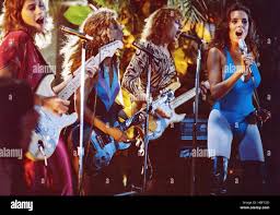 Image result for corinne alphen