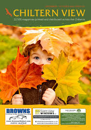 Image result for Chiltern Flyers