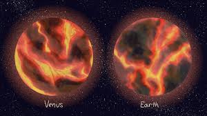 Image result for venus