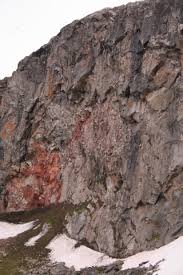 Attēlu rezultāti vaicājumam “Gloeocapsa rupestris”