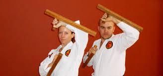 Image result for Felixstowe Judo club