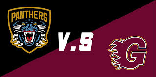 Image result for Nottingham Panthers