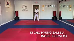 Image result for Han Wong Tae Kwon Do Academy
