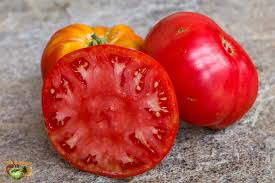 Afbeeldingsresultaat voor prudence purple tomato