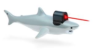 Image result for sharks lasers