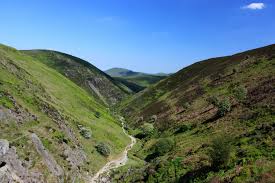 Image result for Long Mynd