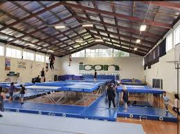 Image result for Fish trampoline and gymnastics club