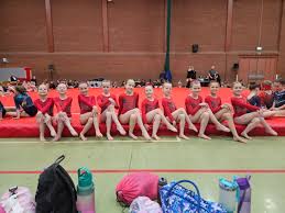 Image result for Park Wrekin Gymnastics Club