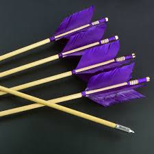 Image result for ArcheryDuns