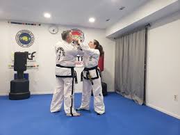 Image result for I T F Taekwondo (Andover)