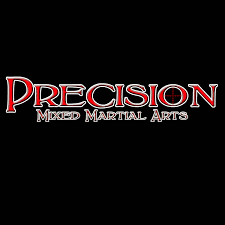 Image result for Precision MMA Mixed Martial Arts Training