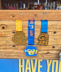 Image result for Go Ape! Whinlatter