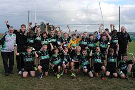 Image result for Patrick Sarsfield Gaelic Athletic Club