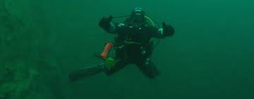 Image result for Dolphin Sub Aqua