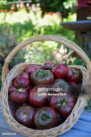 Afbeeldingsresultaat voor cherokee purple tomato