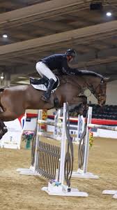 Image result for Jp-Sheffield Eventing