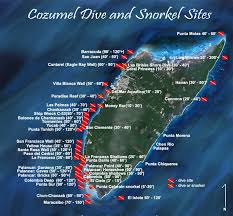 Resultado de imagen para cozumel dive