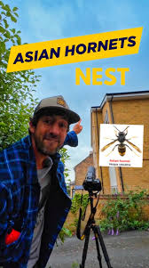 Image result for Boccia In Epsom & Ewell (Bees)