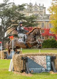 Image result for Jp-Sheffield Eventing