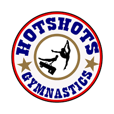 Image result for Hotshots Netball Club