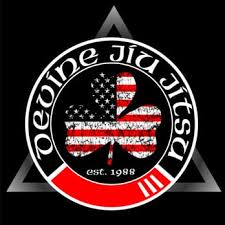 Image result for Devines Martial Arts