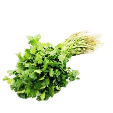 Image result for Koriander