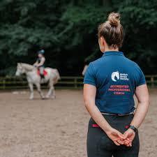 Image result for British Horse Society