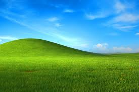 Image result for love windows xp wallpaper