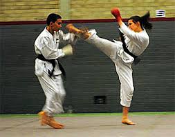 Image result for Shitokai Karate Club