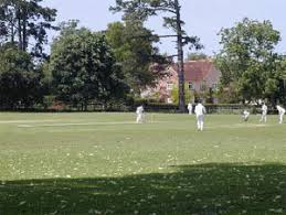 Image result for Cranleigh St Andrews Cricket Club