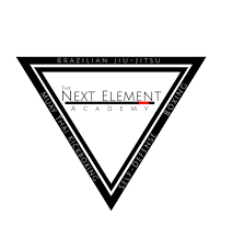 Image result for Derwent Jujitsu Academies