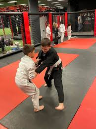 Image result for Pyramid martial arts