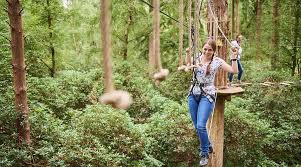 Image result for Go Ape! Grizedale
