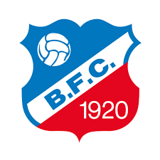 Image result for bfc
