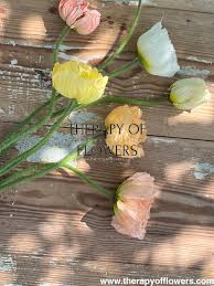 Image result for Papaver nudicaule